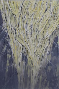 Image 1 of Mire Webbing