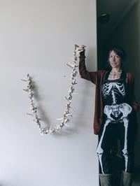 Image 2 of Vertebrae Garland   (10' feet)