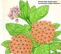Image 4 of Supr & Company Sketch Book