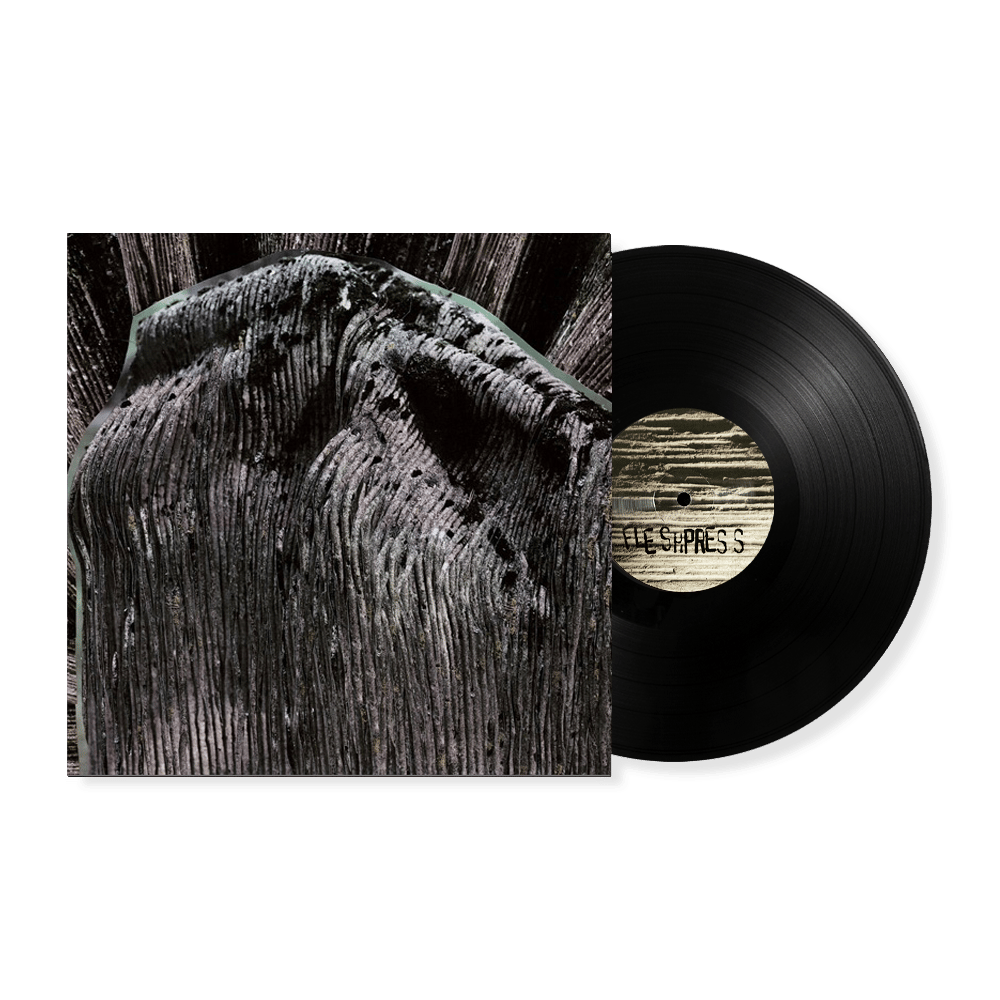 Fleshpress "Viimeinen saavutettu tahto" LP