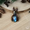 Stag Beetle necklace 
