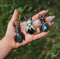 Image 3 of Stag Beetle necklace 