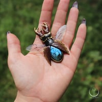 Image 10 of Stag Beetle necklace 