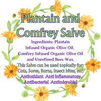 Plantain & Comfrey Salve