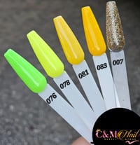 Image 1 of C&M GEL POLISH VOL.4