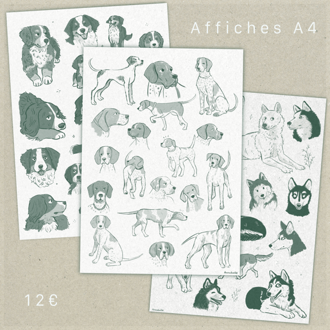 Affiche A4 races de chiens