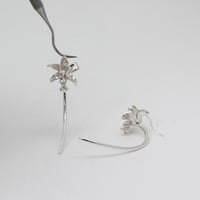 Image 1 of  aerangis earring (made to order)