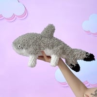 Sharky Puppy