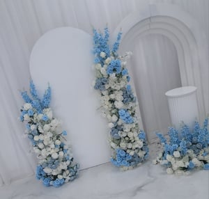 Image of Backdrop set up as seen 