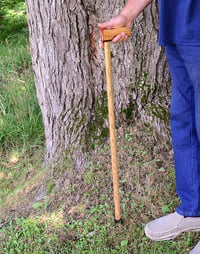 Image 3 of Wooden Cane Walking Stick, Exotic Wood Purple Heart and Oak, Solid Cane 37 inches Elegant Cane