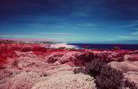 Infrared Seascape