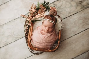 Image of Newborn Mini Sessions