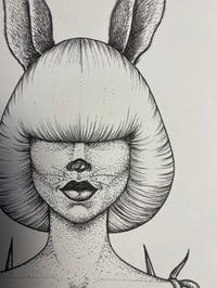 Image 2 of Follow the rabbit