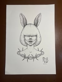 Image 1 of Follow the rabbit
