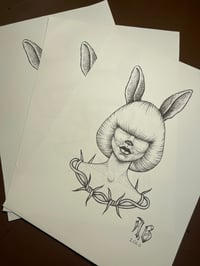 Image 3 of Follow the rabbit