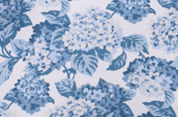 Image of Summerwind Porcelain Shade