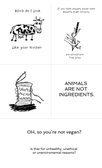 Image 3 of Vegan Activism Shirts / Various Designs