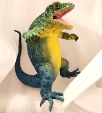 Image 4 of Liolaemon gigas