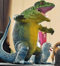Image 1 of Liolaemon gigas