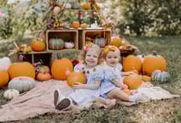 Image 1 of Pumpkin Minis 2025