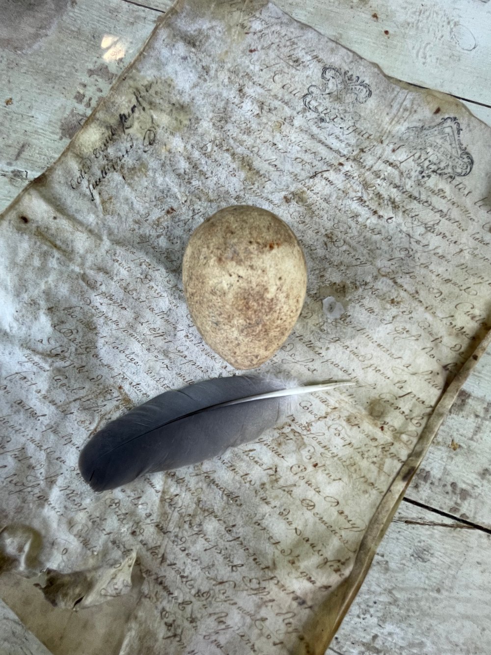 Image of Egg 