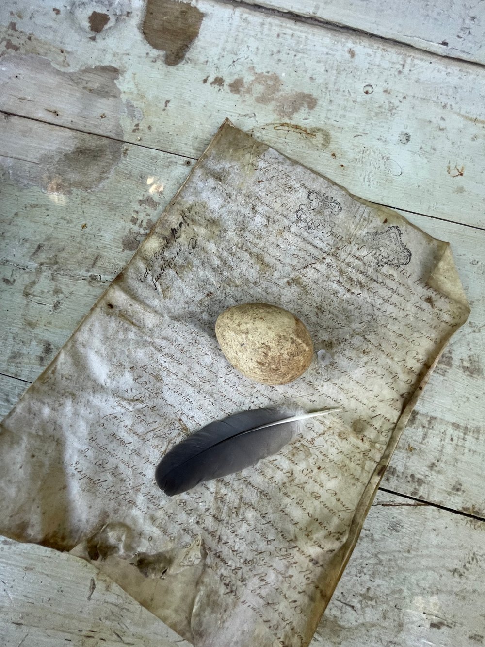 Image of Egg 