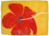 Alvaro Barrington - Red Hibiscus Yellow Light