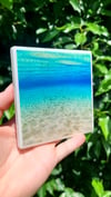 "Florida Paradise" Craft Coaster