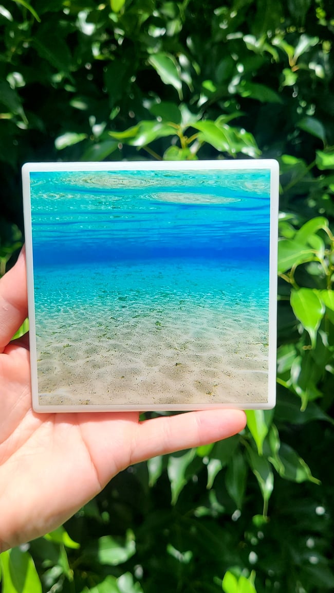 "Florida Paradise" Craft Coaster