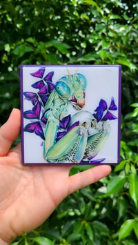 Image 1 of "Preying Skull" Craft Coaster