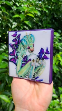 Image 2 of "Preying Skull" Craft Coaster