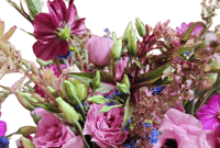 Image 1 of Lisianthus Share