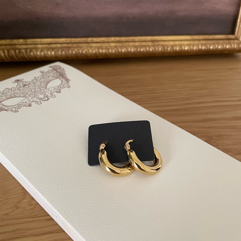 Image of Vintage Hoop Earrings