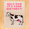 Holy Cow Birthday