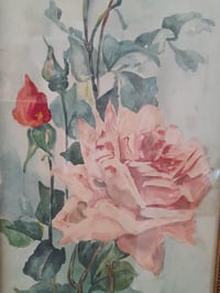 Image 3 of Aquarelle {Roses du jardin}