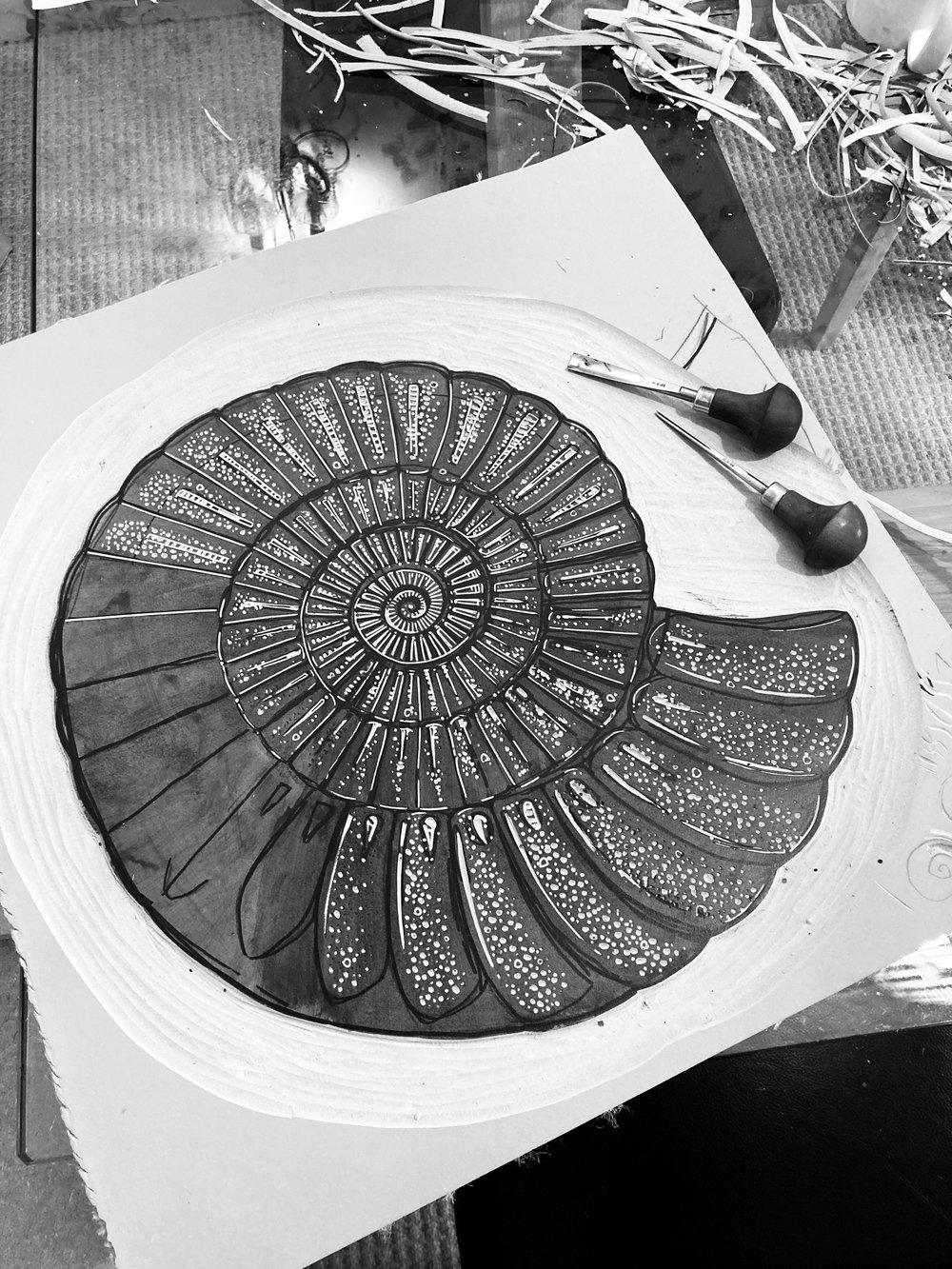 Ammonite linocut print - 5 colours