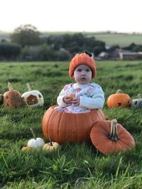 Image 4 of PUMPKIN FAIRYTALE - PRE-ORDER - BABY/CHILDRENS CLOTHING