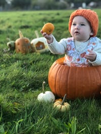 Image 6 of PUMPKIN FAIRYTALE - PRE-ORDER - BABY/CHILDRENS CLOTHING