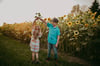 Sunflower Minis
