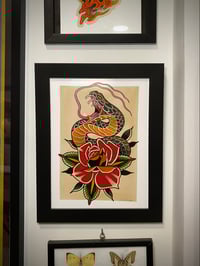 Image 4 of Snake rose
