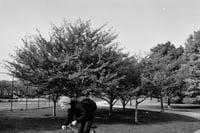 Image 1 of School Hill Hustle, Chicago (2018) 35mm film