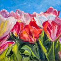 “Sun-kissed Tulips”
