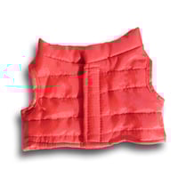 Image 2 of Bigfoot Vest