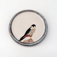 Image 1 of MADE TO ORDER A Pair of Hobby Bird Coasters