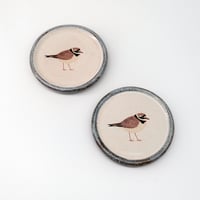 Image 2 of Two Ringed Plover Coasters