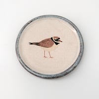 Image 1 of Two Ringed Plover Coasters