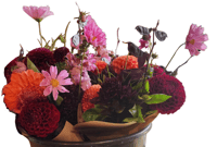 Image 1 of Bucket of 4 Bouquets