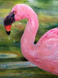 “Florida Flamingo”