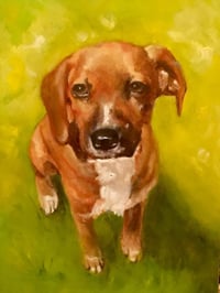 Image 4 of Pet Portraits 