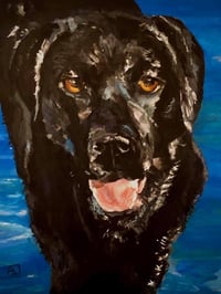Image 5 of Pet Portraits 